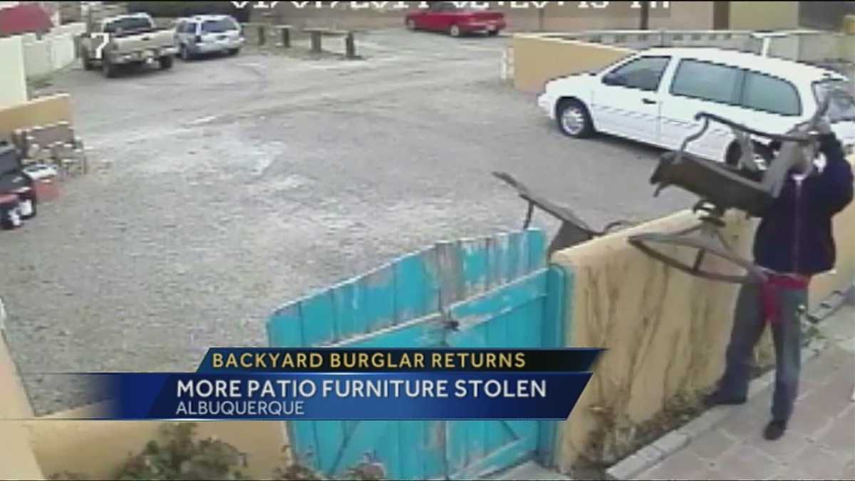 Backyard Burglar Strikes Again