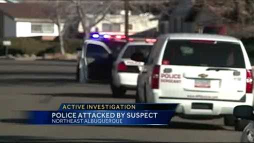 2 officers injured responding to domestic violence call