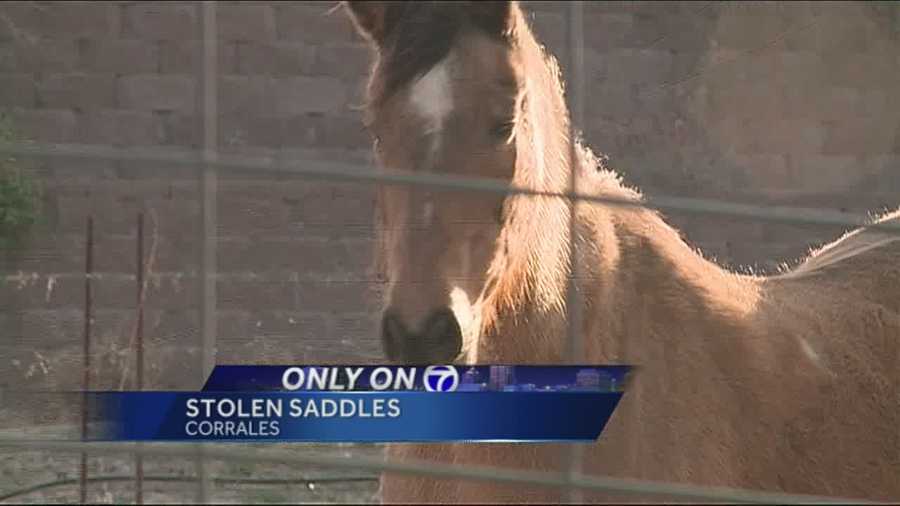 The horse capital of New Mexico is finding itself the victim of some unusual thefts.
