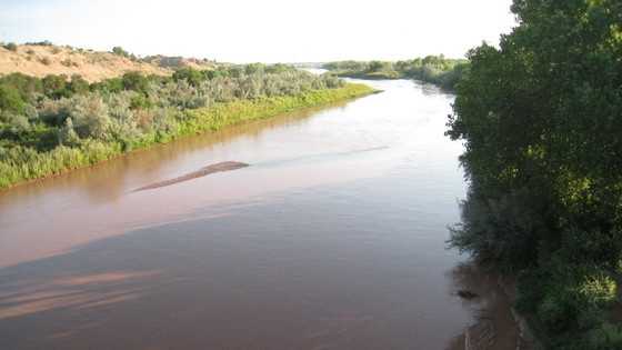 Man Gets Stuck In Rio Grande Mud