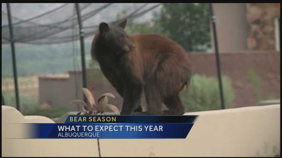 A lack of rain will likely lead to a big fire season in 2014 as well as a surge of hungry bears making their way into the metropolitan area.