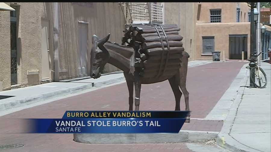 Watch Alana's update on  Burro Alley vandalism