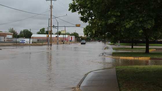 81 amazing flooding, hail photos from NM