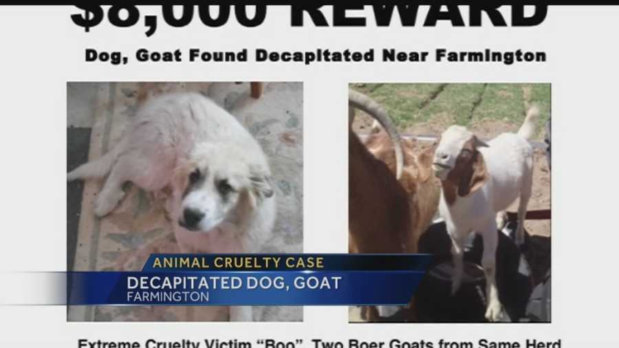 Its a disturbing case of animal cruelty coming out of the Farmington area.
