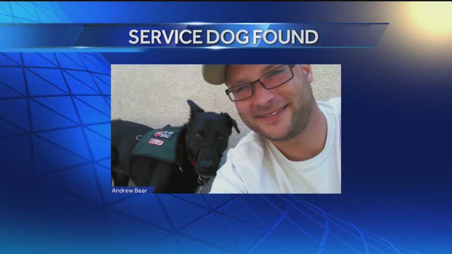 Action 7 News helped reunite a veteran with his missing service dog.