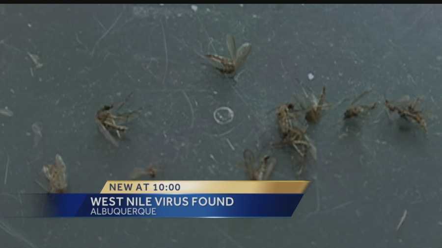 WE told you the Mosquitoes were coming, and tonight we have learned one in Albuquerque has tested positive.