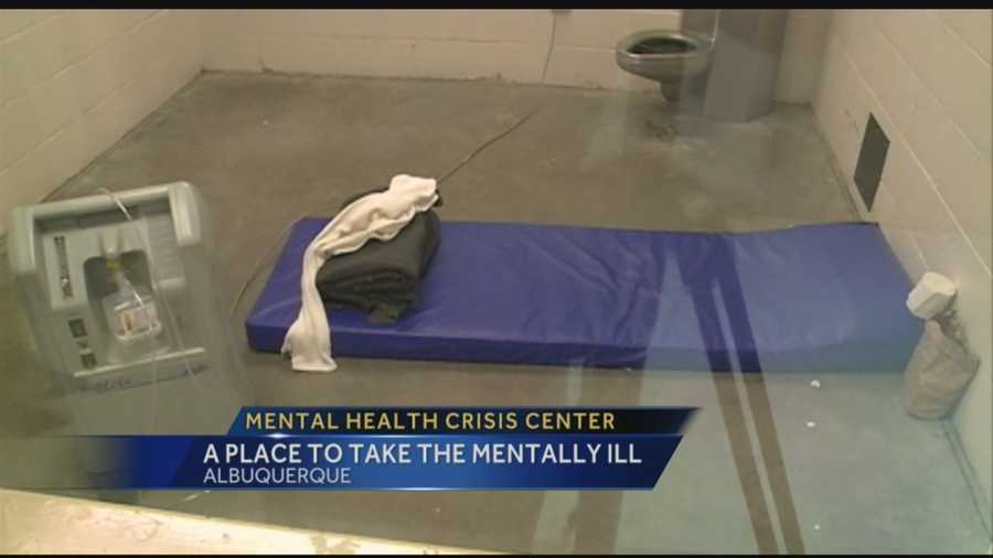 City, county and state leaders are considering a facility they believe could drastically change encounters between law enforcement and the mentally ill.