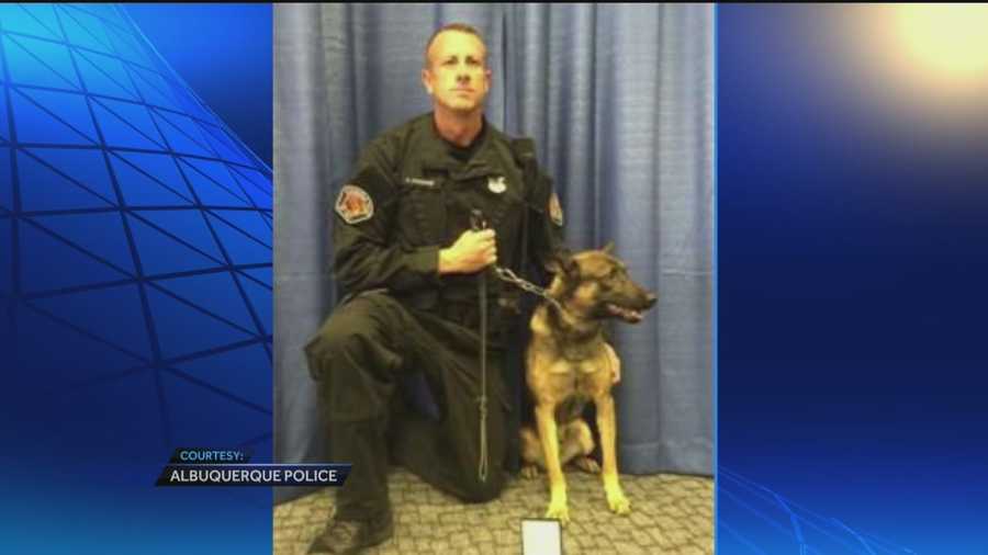 A four-legged member of the Albuquerque police received one of the department’s highest honors Tuesday.