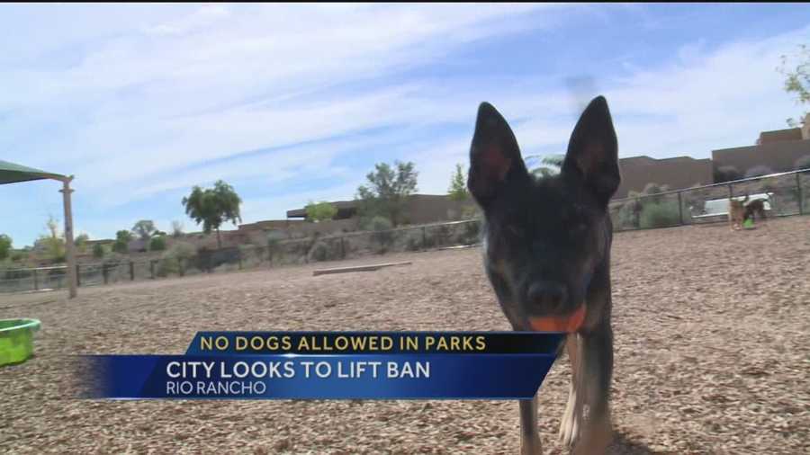 Rio Rancho may be changing an old animal ordinance.