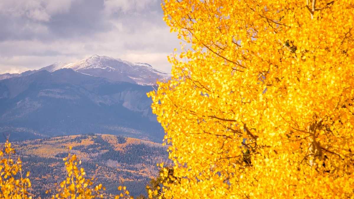 NM’s 7 Best Fall Foliage Drives