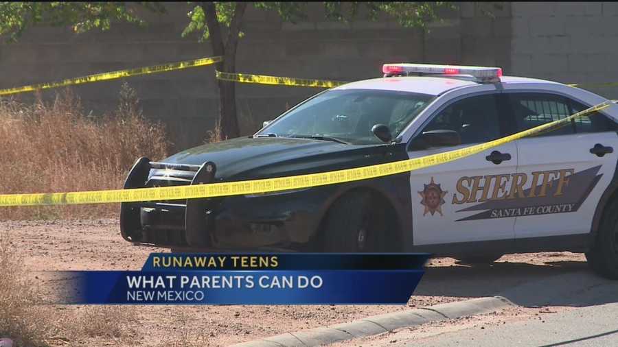 Action 7 News reporter Regina Ruiz talks with police about what parents can do to keep children safe.