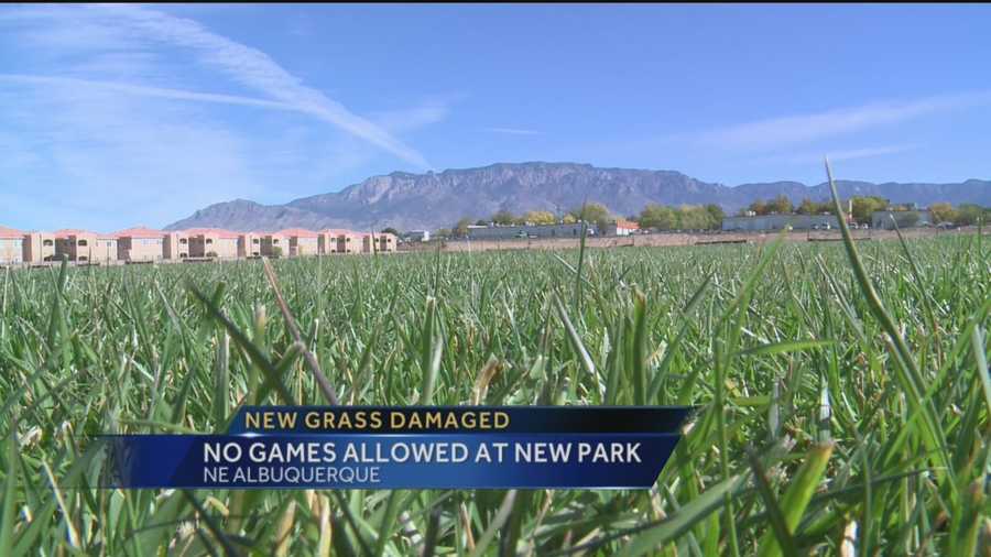 The grass at a new Albuquerque park is already damaged.