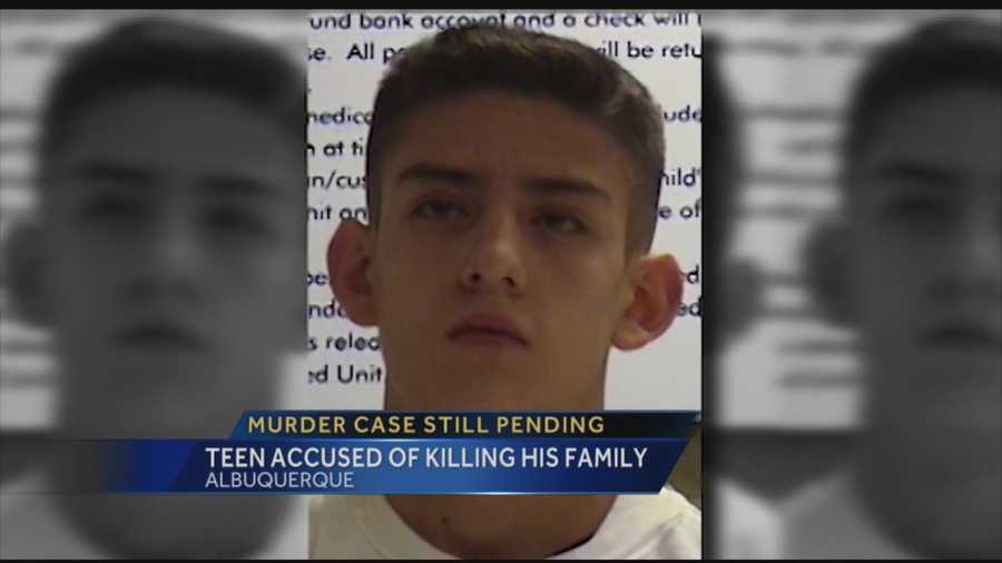 Nearly two years after police arrested a teen and charged him with killing his family, the case has barely budged.