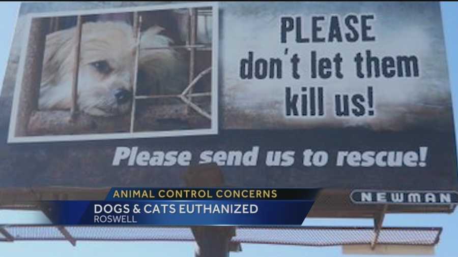 Animal rescue groups and taxpayers in Southern New Mexico are outraged over Roswell's animal welfare department. They say the city is killing an unprecedented amount of dogs and cats, even healthy ones.