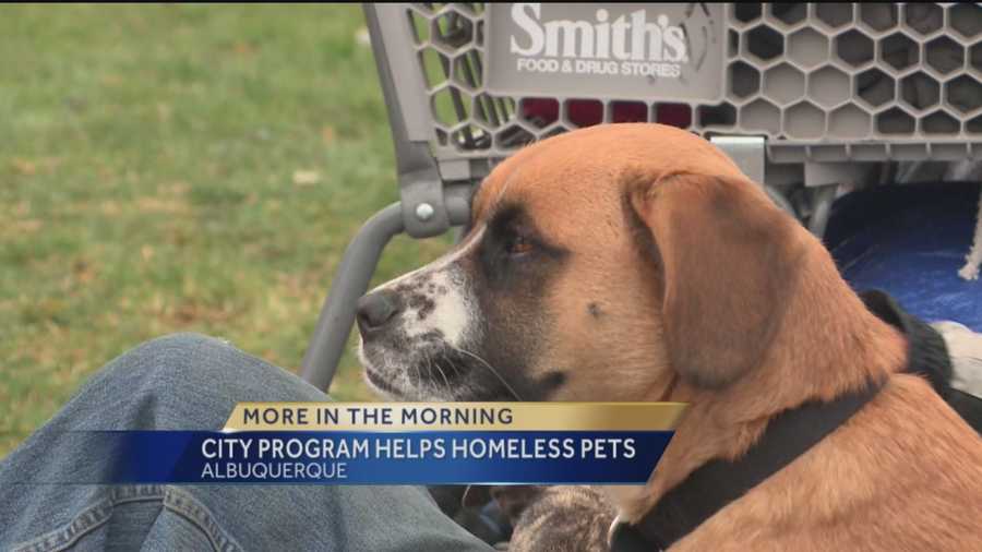 City Program Helps Homeless Pets