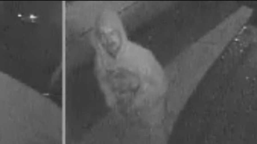 Police are looking for a person who they say caused tens of thousands of dollars in damage overnight in Paradise Hills.
