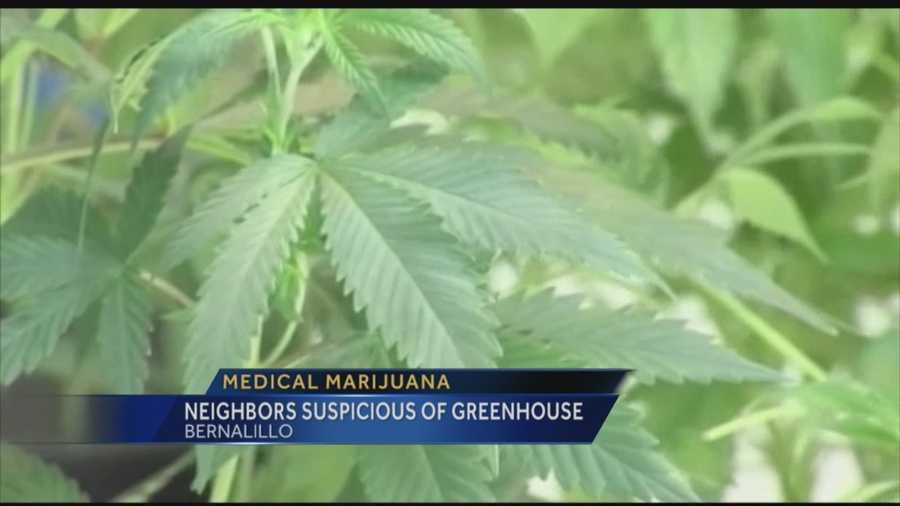 How would you feel about having a marijuana garden in your back yard? Some New Mexicans suspect a nursery that used to grow flowers, is now growing pot right next to them. Nancy Laflin reports why the mystery may never be solved.
