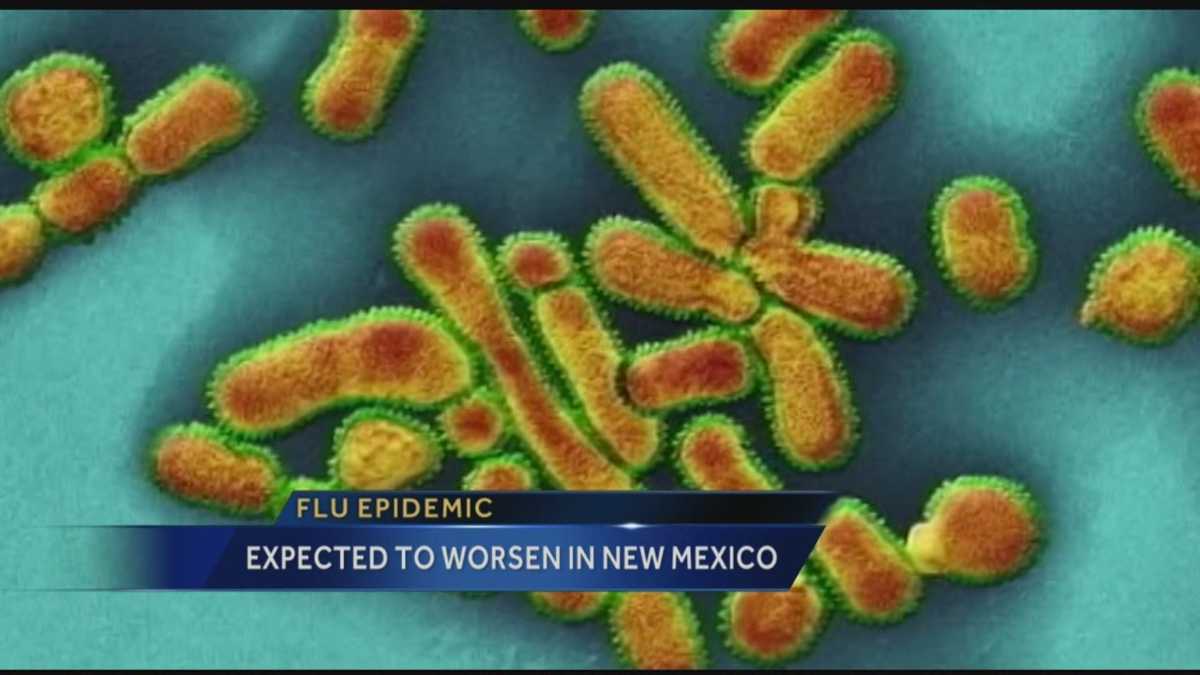 Flu concerns in New Mexico