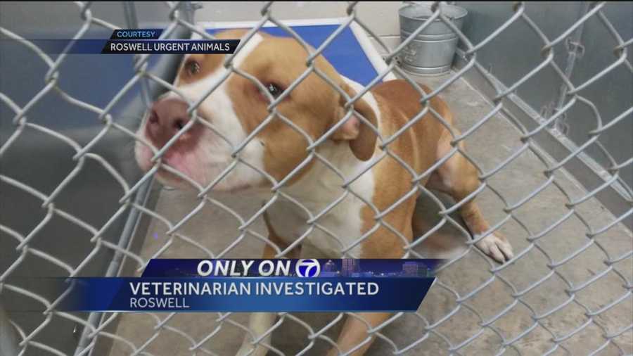 Roswell veterinarian faces 33 complaints