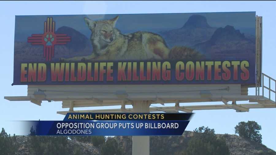 Organized animal hunts have been going on for years. But now a group opposed to the contests have put up a big message they hope will help end the hunts.