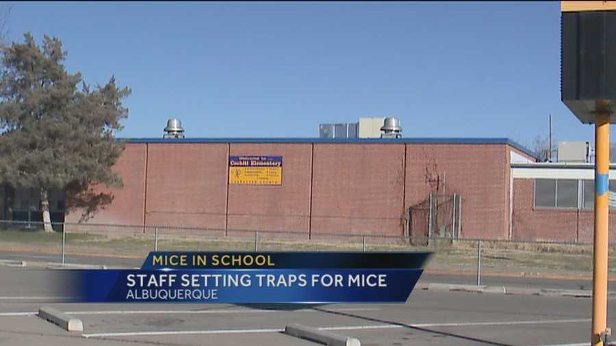 Albuquerque Public Schools confirms mice were recently found at Cochiti Elementary.