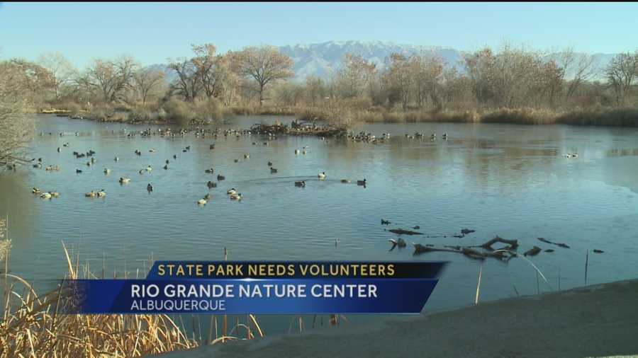 The Rio Grande Nature Center is the only state park in the Albuquerque metropolitan area, and its staffing needs are enormous.