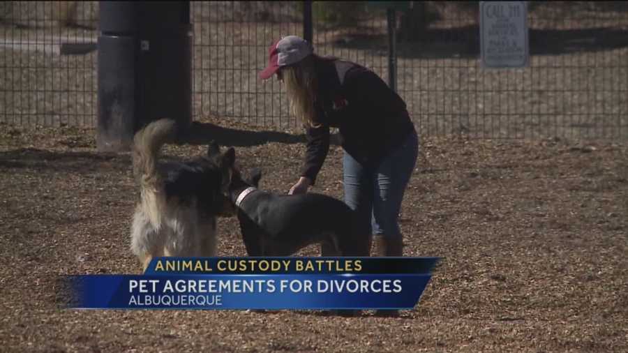 Local lawyers are finding themselves in the big business of pet custody when relationships go sour.