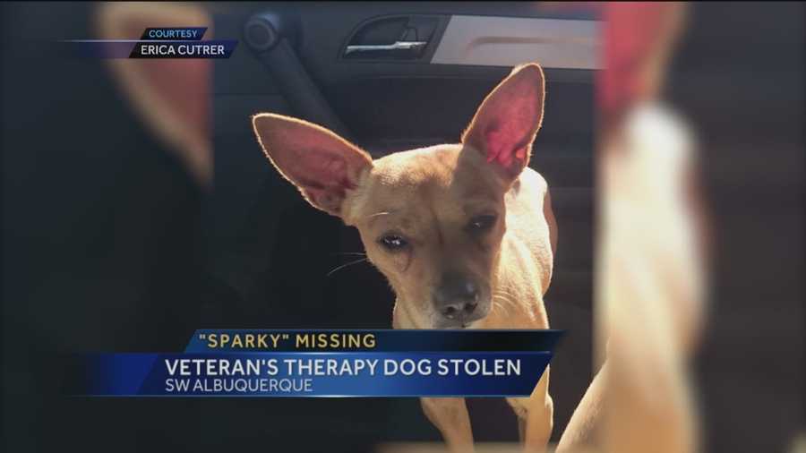 An Albuquerque Veteran says, she is devastated her therapy dog was taken in the middle of the night.