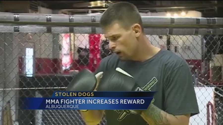 MMA Fighter Increases Stolen Dog Award