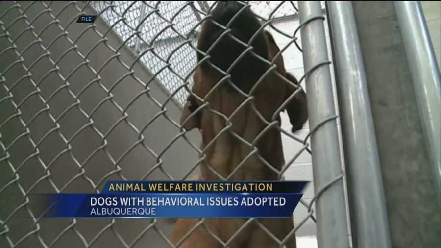 New details tonight on allegations against Albuquerque's Animal Welfare Department.