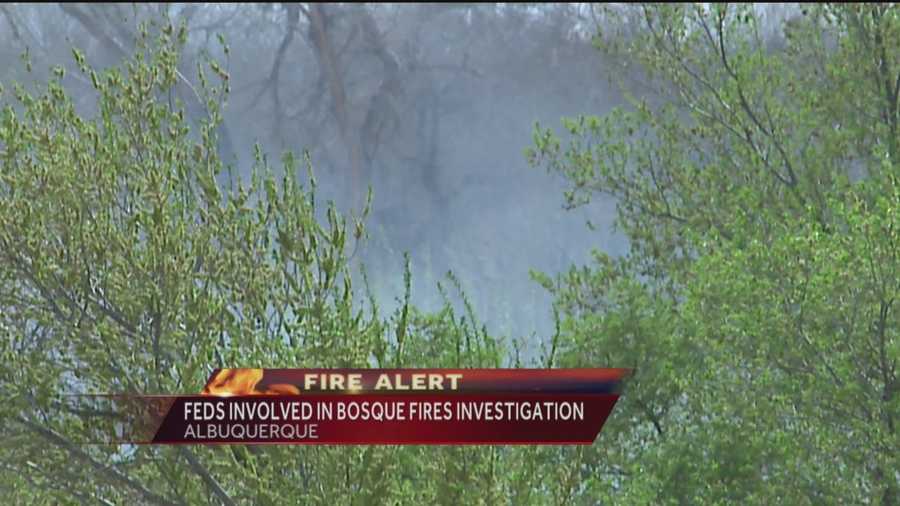 There have already been 150 wildfires since the start of the year, including several in Albuquerque's Bosque last week.