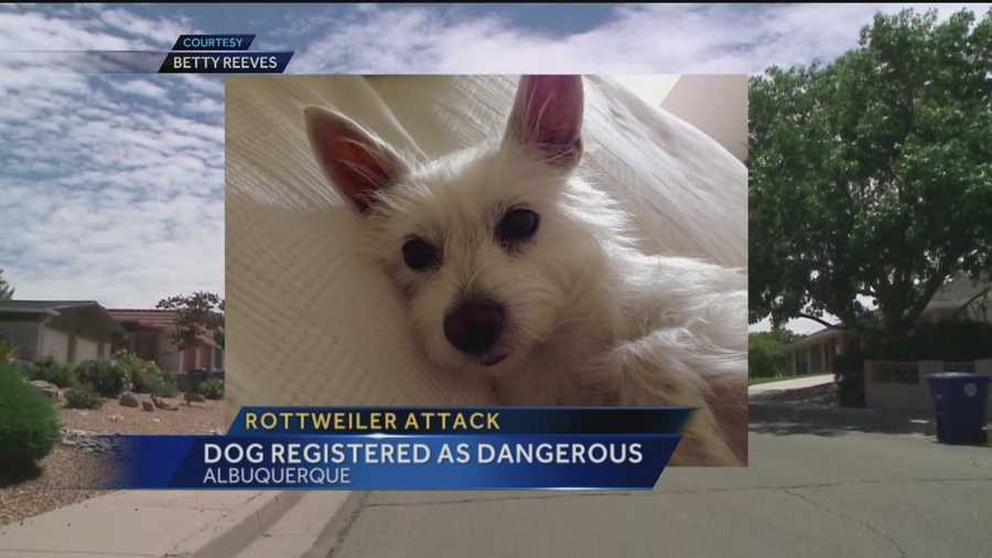 An Albuquerque woman says she had to put down her pup after another dog attacked it.