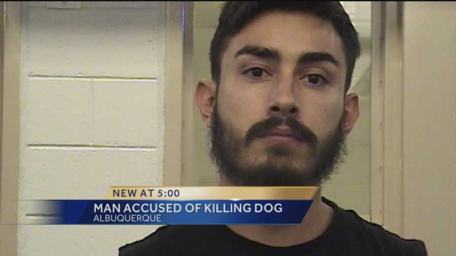Ernest Cervantes has fond memories of his little Chihuahua Amy. Cervantes and his girlfriend rescued the dog three years ago. When they split up, she kept the Chihuahua. Now, her new boyfriend is accused of killing the pup.