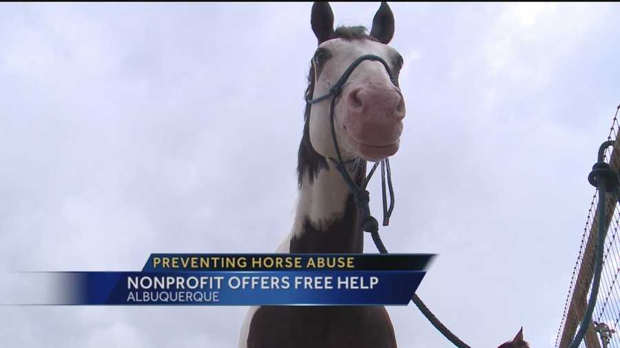 Horse neglect and abuse is a huge problem in New Mexico.