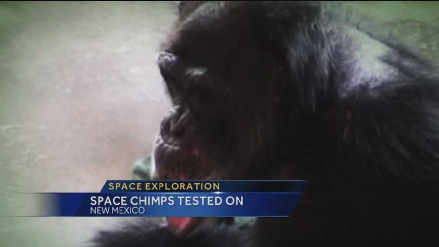 Last week we told you about New Mexico's crucial role in getting the space program off the ground, but you may not know about a dark past involving dozens of chimps.