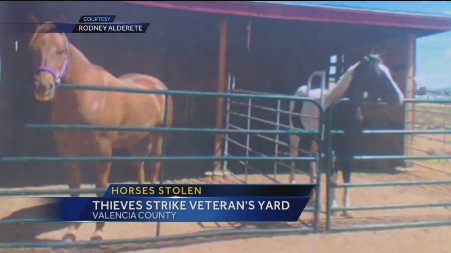A decorated war veteran is heartbroken tonight after two prized horses were stolen.