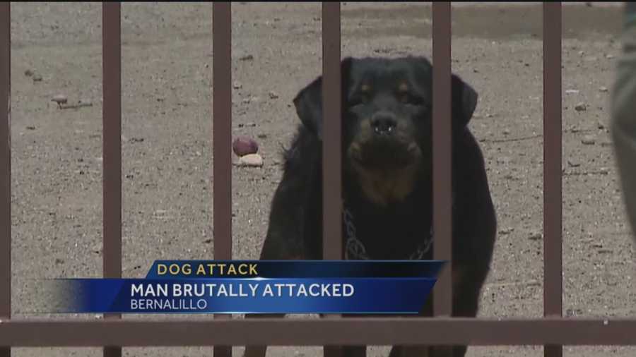 A Bernalillo man is asking authorities to get rid of his neighbor's three rottweilers after he was viciously attacked by them.
