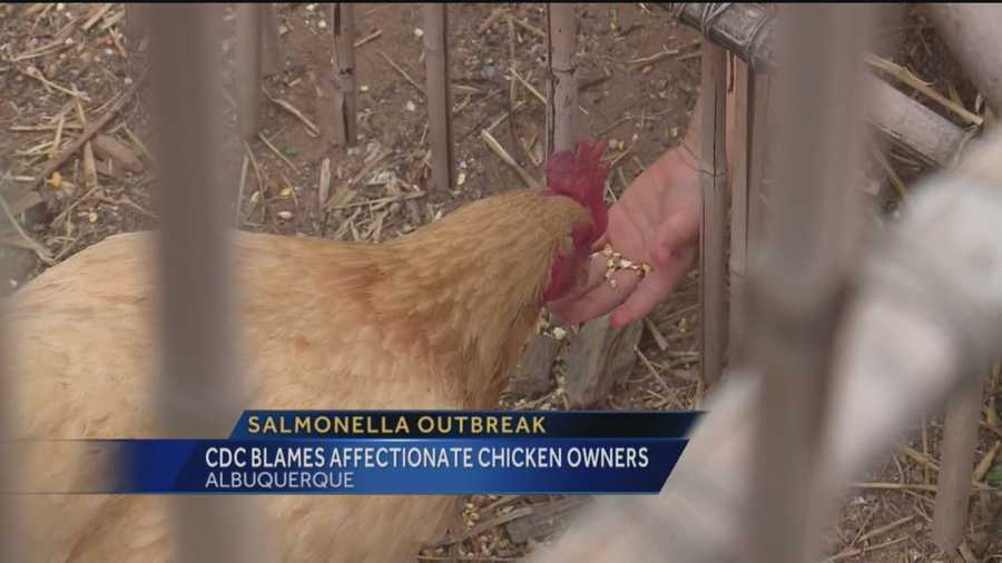 Overly affectionate chicken owners are to blame for a salmonella outbreak, according to the Centers for Disease Control and Prevention.