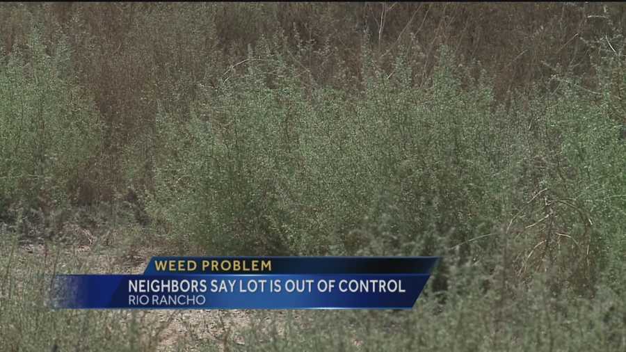 People living along one Rio Rancho street say weeds and dirt are taking over a nearby lot.