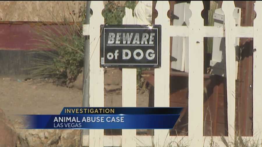 San Miguel County has seen a lot of unsettling animal abuse cases lately.