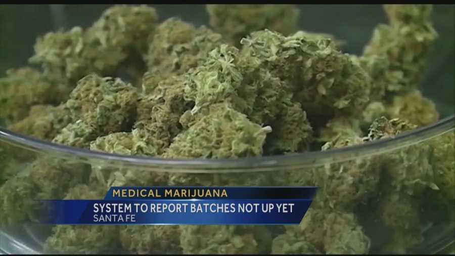 The state requires medical marijuana producers to test their batches, but the system to report those results isn't up yet.