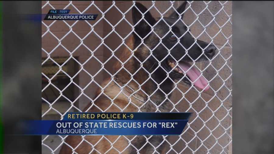 We finally know where "Rex" the retired police K-9 should end up.