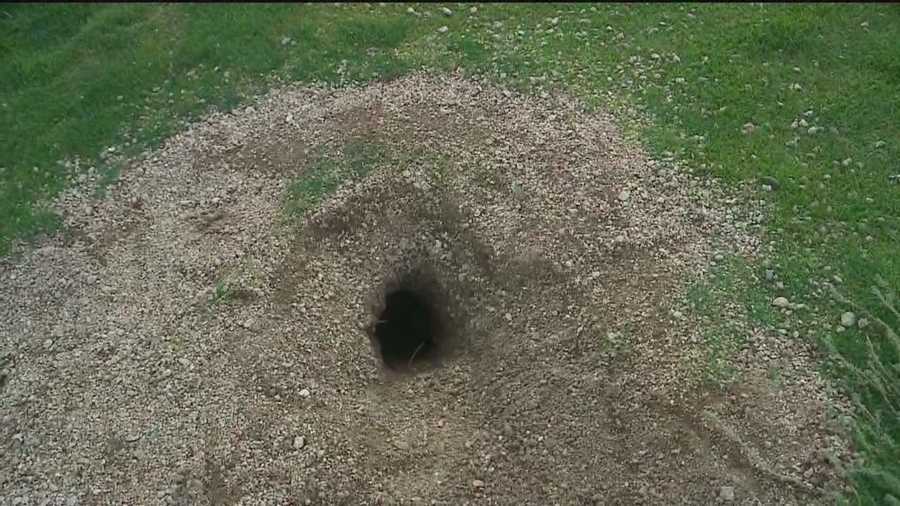 Holes have been popping up near a local elementary school, and parents are concerned.
