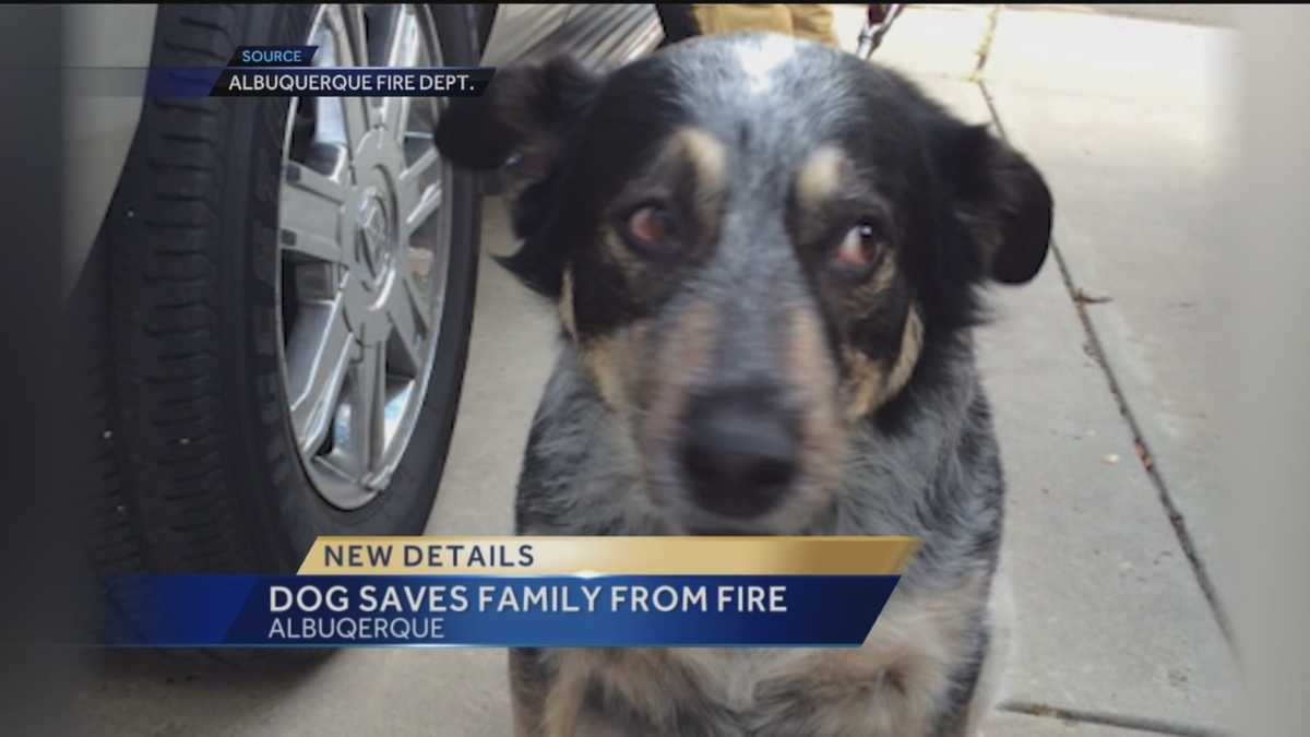 Dog saves family from burning home