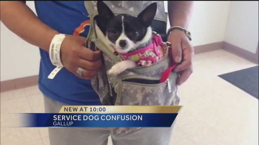 A restaurant wants to spread awareness about service dogs after a misunderstanding with one of its customers.