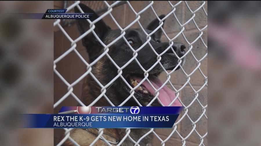 The now retired police and military dog has spent weeks at an Albuquerque animal shelter.