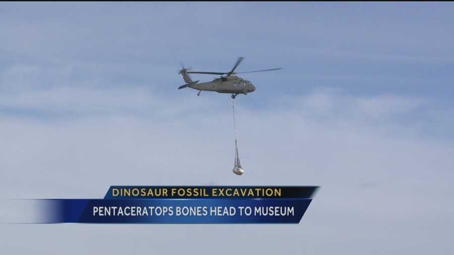 Helicopter used to lift rare dinosaur fossil