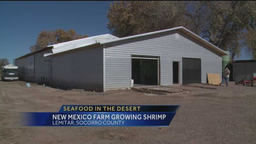 When you think New Mexico you don't usually think seafood.