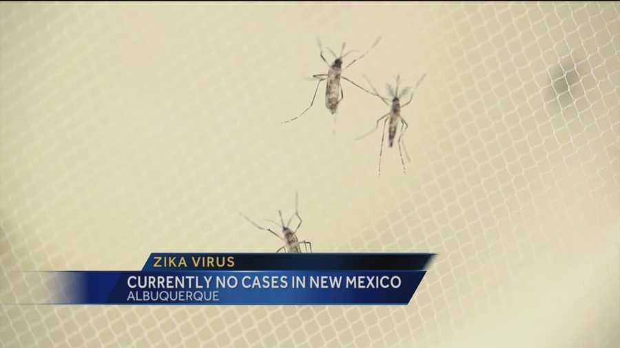 The Zika virus has not yet made it to New Mexico, but some mosquitoes in the state can carry it.