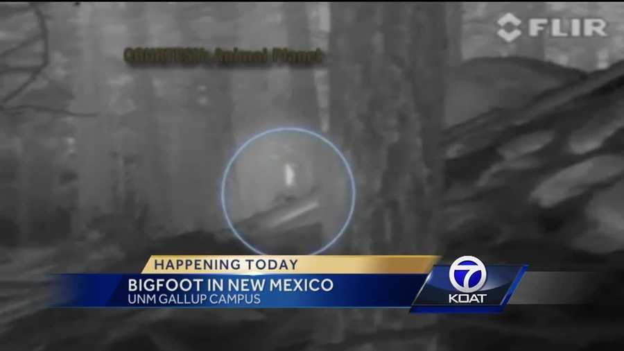 Is Bigfoot hiding in northwest New Mexico?